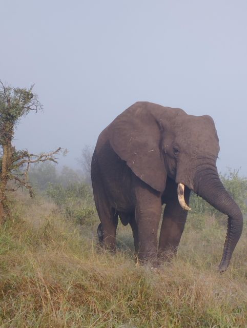 4 Day Kruger Park Safari and Panorama Route - Sunset Game Drive