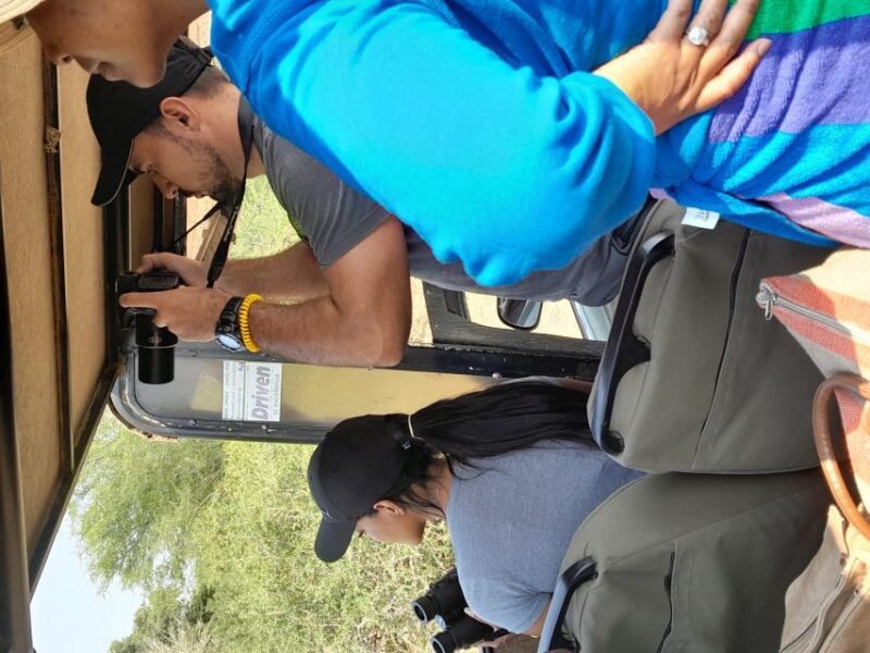 4 Day Kruger Park Safari and Panorama Route - Important Considerations