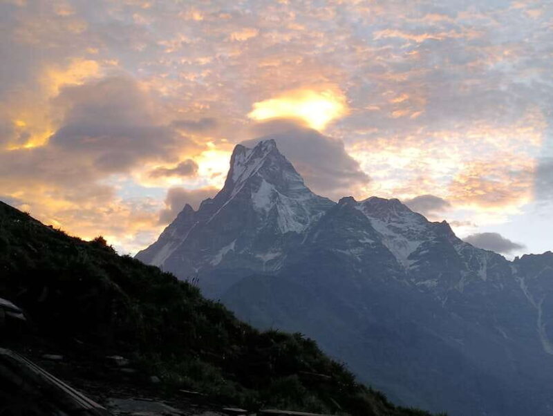 4 Day Mardi Himal Trek with 2 Day Chitwan Jungle Safari Tour - Introduction: Why This Tour Could Be Your Nepal Dream