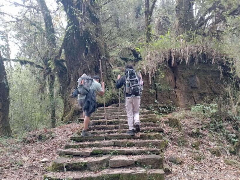 4 Day Mardi Himal Trek with 2 Day Chitwan Jungle Safari Tour - Key Points