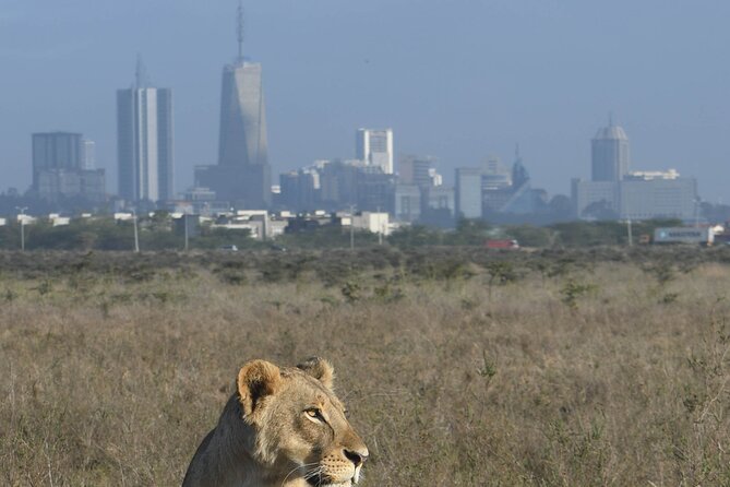 4-Day Masai Mara and Lake Nakuru Safari From Nairobi. - Pickup Details