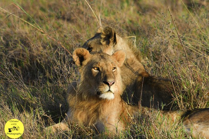 4-Day Masai Mara and Lake Nakuru Safari From Nairobi. - Accessibility Information