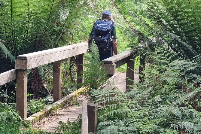 4 Day Mornington Peninsula Treks - A Detailed Look at What the Tour Offers