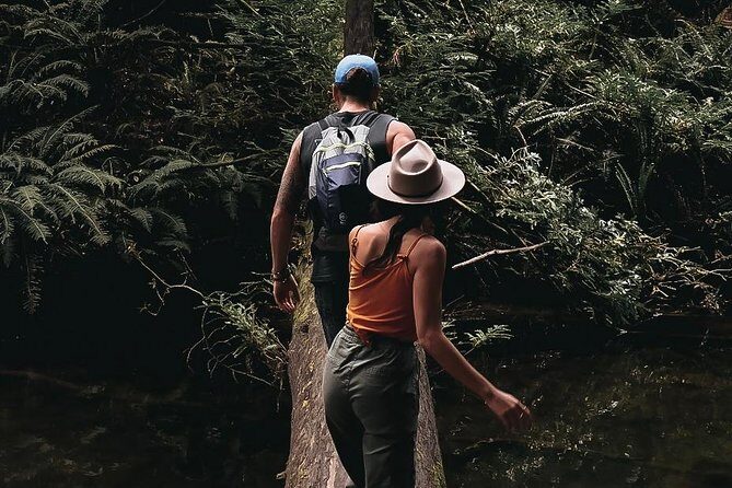 4 Day Mornington Peninsula Treks - FAQ