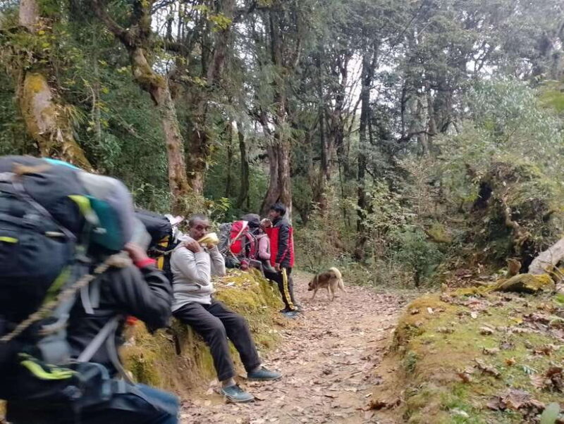 4-Day Mulde ,Poon Hill Trek Itinerary (Children-Friendly) - Key Points