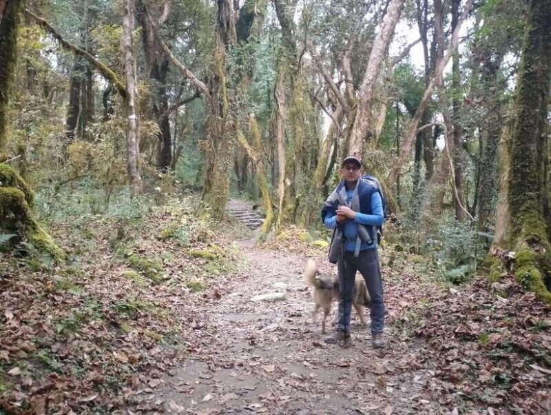 4-Day Mulde ,Poon Hill Trek Itinerary (Children-Friendly) - A Detailed Look at the Trekking Experience