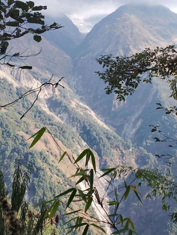 4-Day Mulde ,Poon Hill Trek Itinerary (Children-Friendly) - Final Thoughts: Who Will Love This Trek?