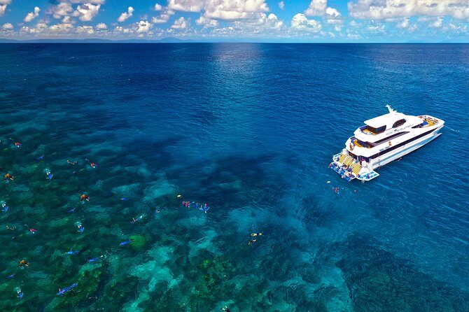 4-Day PADI Open Water Dive Course - Learn to Dive on the Great Barrier Reef - The Logistics: Comfort and Convenience