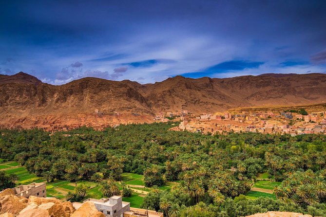 4-Day Private Desert Tour Fes to Marrakech With Transfers - Customer Experiences