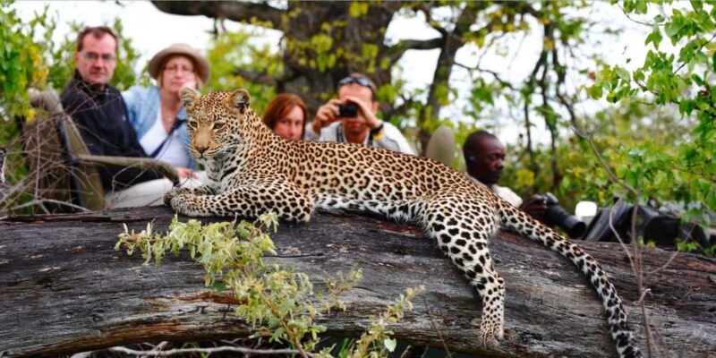 4 Day Private Garden Route & Wine Route Safari Fro Cape Town - Itinerary Highlights