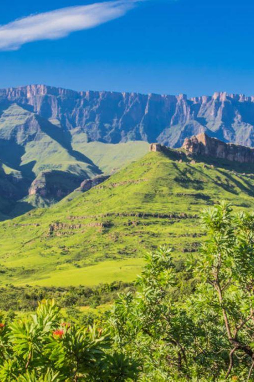 4 Day Private Garden Route & Wine Route Safari Fro Cape Town - Included Experiences