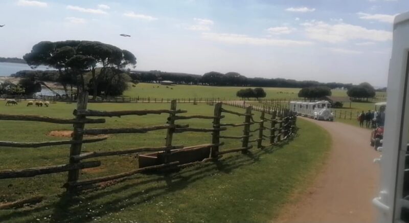 4 Day Private Istria Tour from Zagreb: Explore & Enjoy - Cost and Value: Is It Worth It?