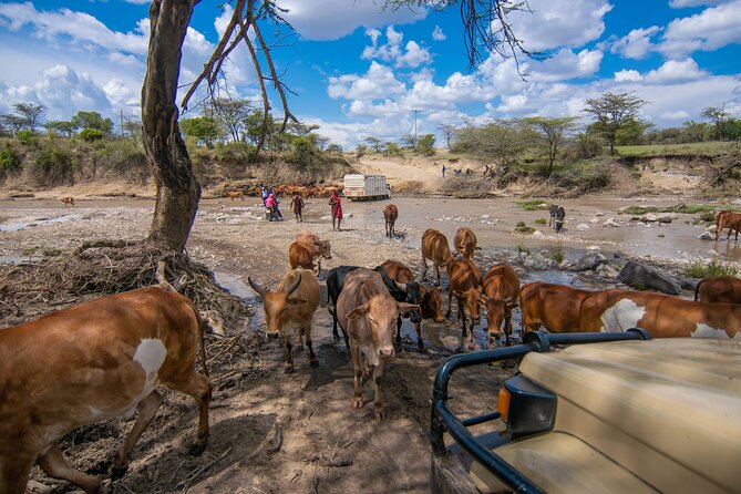 4-Day Private Masai Mara Kenya Safari Tour - Itinerary and Logistics
