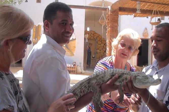 4-Day Private Tour of Luxor, Aswan and Abu Simbel Historic Sites - Pickup and Start Time