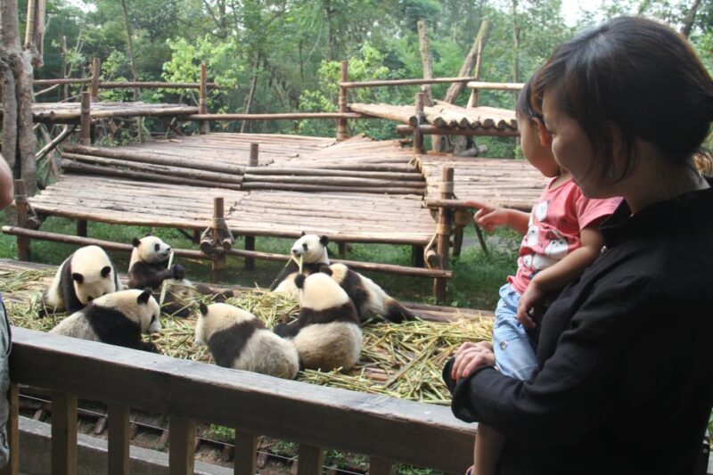 4-Day Private Tour to Chengdu, Leshan and Mount Emei - Itinerary Highlights
