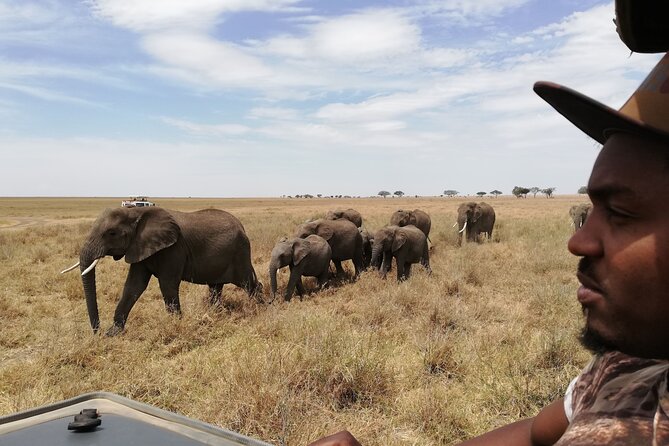 4-Day Safari to Tarangire, Serengeti and Ngorongoro From Arusha - Join a Group - Traveler Reviews