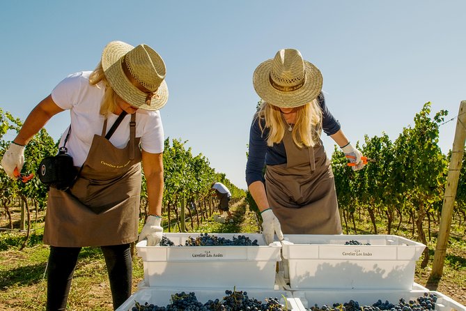 4-day Semi-private Tour of Mendoza Andes & Wine - Pickup and Arrival