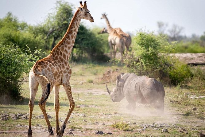 4-day Soweto & Pretoria, Lion Park, Magalies/Pilanesberg Safari - Inclusions and Exclusions
