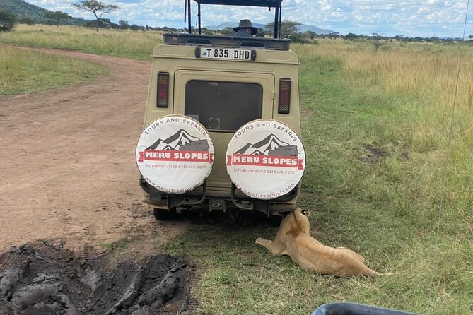 4-Day Tarangire Serengeti, Ngorongoro & Maasai Guided Group Tour - Detailed Itinerary and Activities