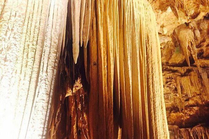 4-Day Tennessee Smoky Mountain Tour from NYC - Key Points