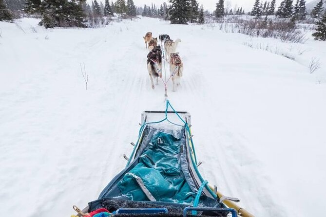 4 Day Tour in Aurora Cabin From Whitehorse - Photography and Activities