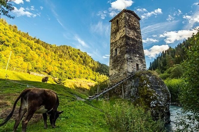 4-Day Tour in Svaneti - Mestia/Ushguli - Accommodation Options