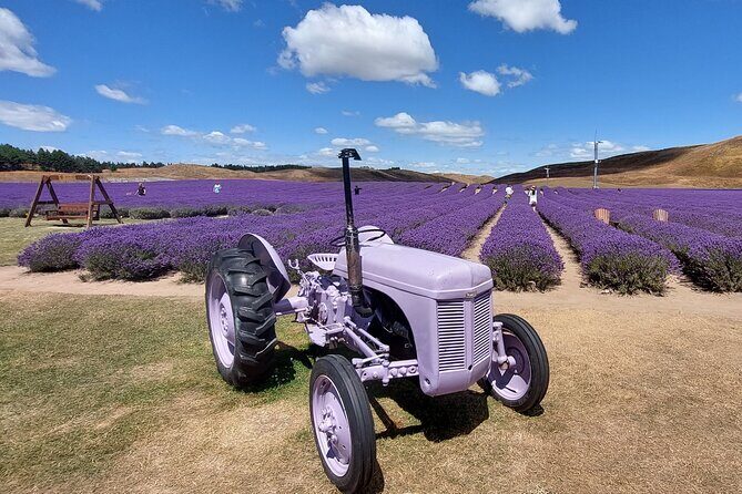 4 Day Tour to Milford Sound, Mount Cook & More from Christchurch - FAQ