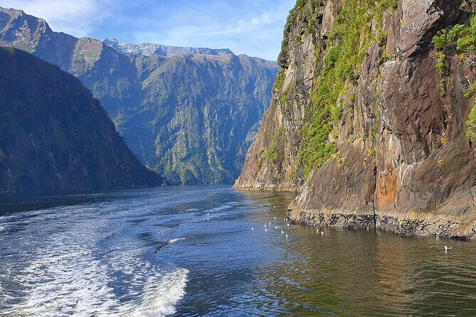 4 Day Tour to Milford Sound, Mount Cook & More from Queenstown - The Sum Up