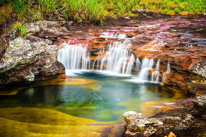 4-Day Trip to Caño Cristales (the River of Many Colors) and the Jungle - Exploring the River of Many Colors
