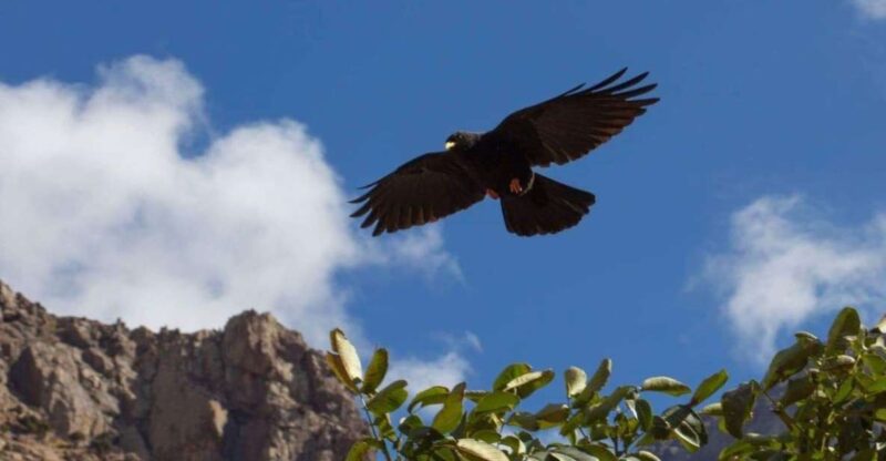 4 Day Visiting the Berber Village - Exploring the High Atlas Mountains