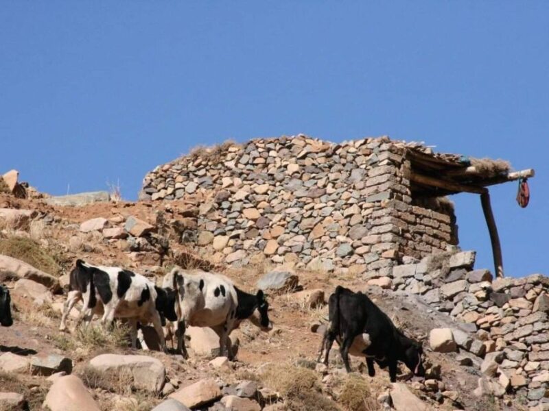 4 Day Visiting the Berber Village - Delightful Cuisine and Hospitality