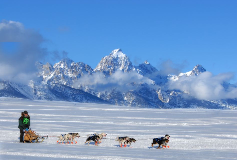 4-Day Winter Yellowstone Tour - Key Points