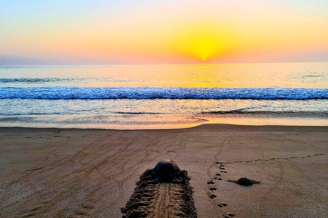 4 Days 3 Nights Package Oman Private Tour - Good To Know