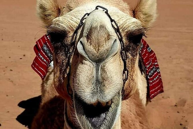 4 Days 3 Nights Package Oman Private Tour - Pickup and Drop-off Details