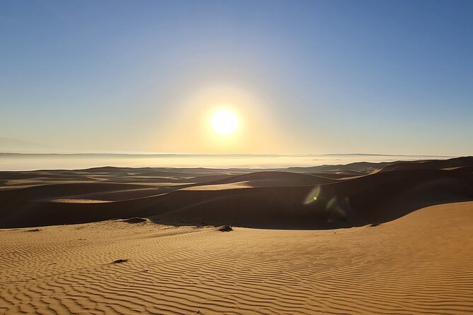 4 Days - 3 Nights Private Roundtrip Tours - Al Jamal Tour - Traveler Testimonials