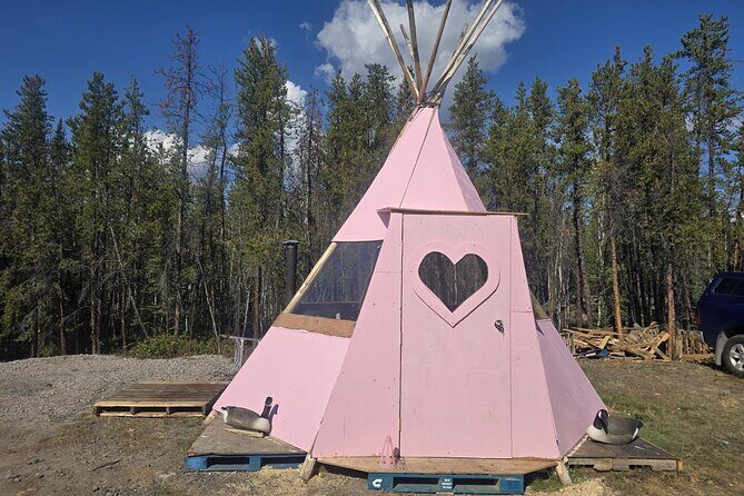 4 Days 3 Nights Yellowknife Aurora Hunting and Viewing Experience - Introduction: Who’s This Tour For?