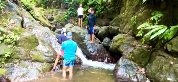 4 Days Adventure; Medellin to Nuqui- Whales!!! - Conservation Efforts