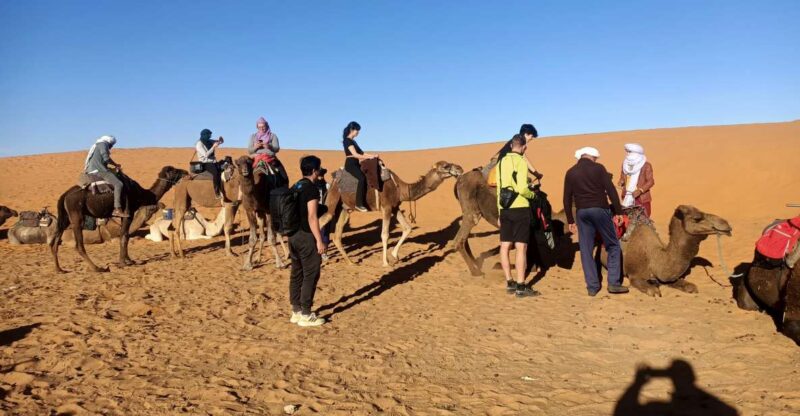 4 Days From Marrakech to Fes via Merzouga Desert - Good To Know