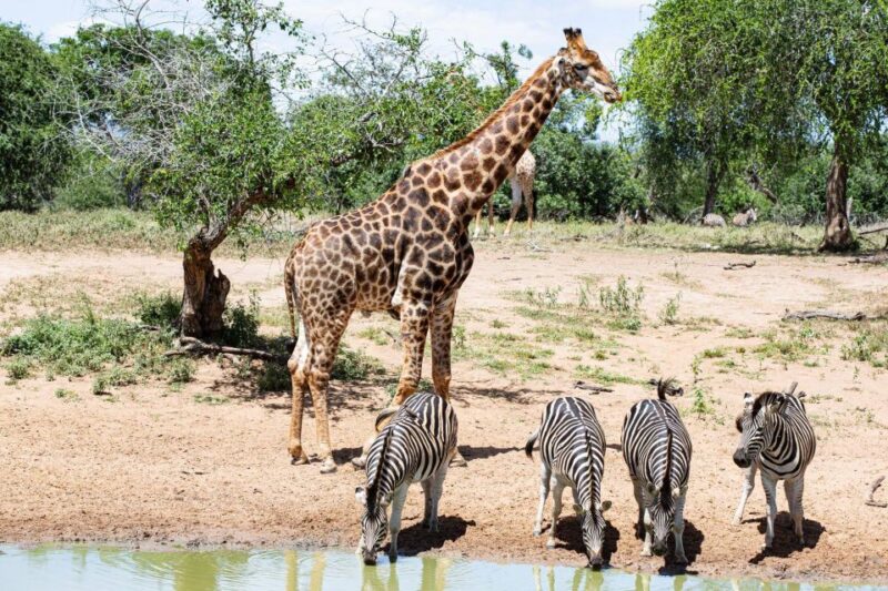 4 Days Kruger National Park and Panorama Route - Scenic Attractions