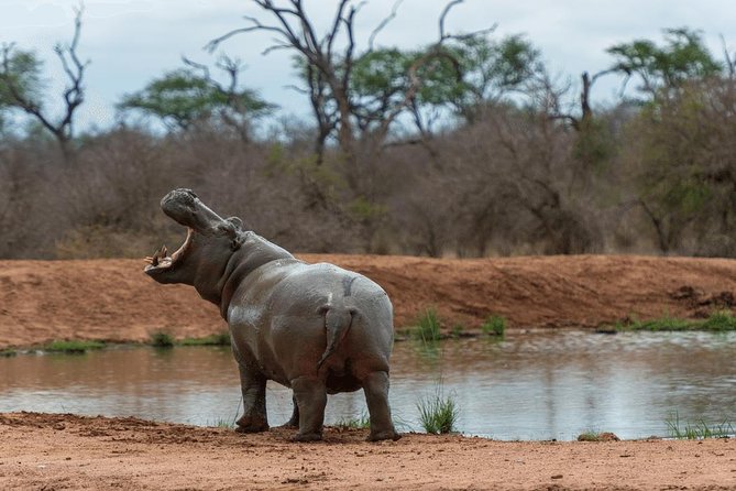 4 Days Luxury Lodge Safari Tour Tanzania - Traveler Requirements