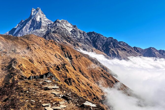 4 Days Mardi Himal Base Camp Trekking in Pokhara - Day 4: Return to Pokhara