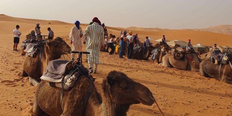4 Days Ouarzazate to Marrakech Merzouga Desert Sahara Tour - Good To Know