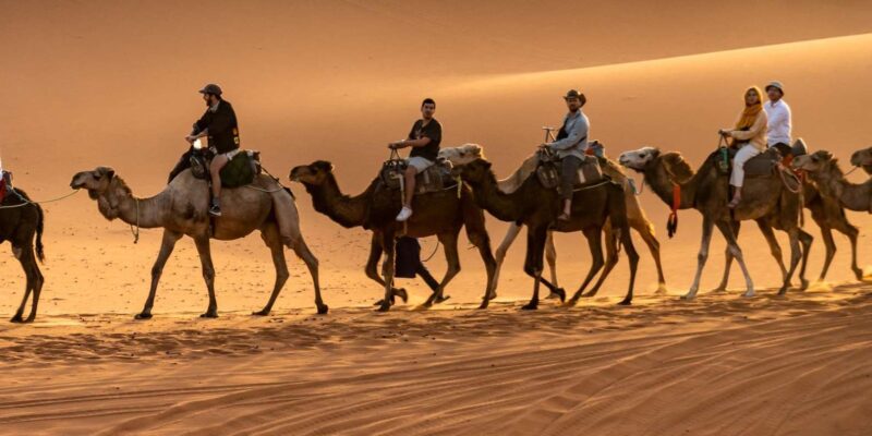 4 Days Ouarzazate to Marrakech Merzouga Desert Sahara Tour - Transportation and Guides