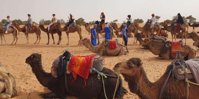 4 Days Ouarzazate to Marrakech Merzouga Desert Sahara Tour - How to Book