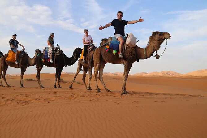 4 Days Private Desert Tour From Marrakech to Merzouga - Customer Reviews and Feedback