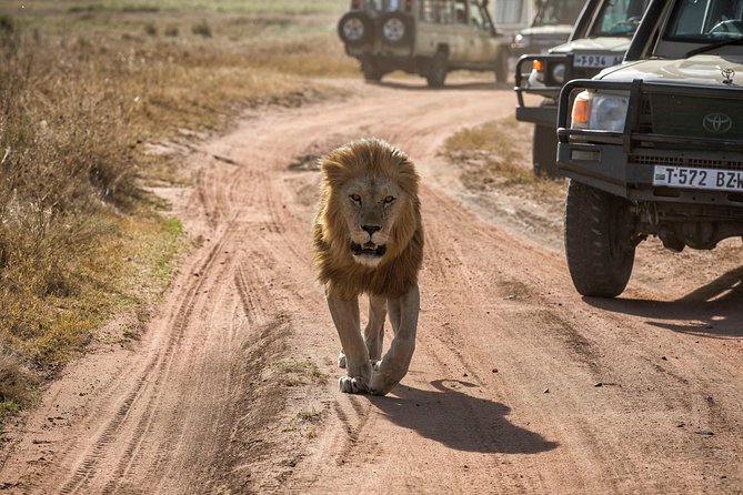 4-Days Private Midrange Safari Tarangire, Serengeti & Ngorongoro - Descending Into Ngorongoro Crater