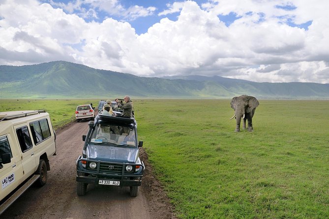 4-Days Private Midrange Safari Tarangire, Serengeti & Ngorongoro - Traveler Suitability and Accessibility