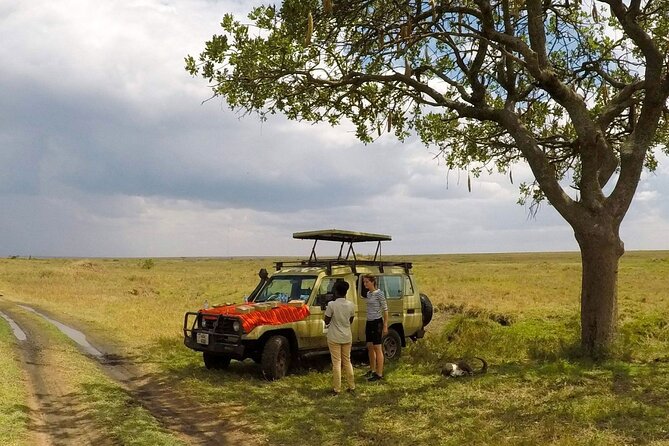 4 Days Tanzania Budget Safari - Private Tour and Cancellation Policy