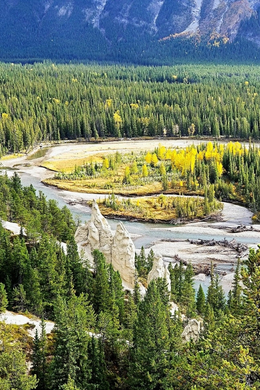 4 Days Tour to Banff & Jasper National Park Without Hotels - Day 3 Wildlife and Nature Experience