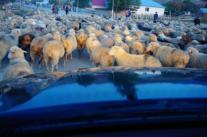 4 Days Tour to the Best Places in Almaty Region! + Horse Riding - Day 1: Almaty to Bashi